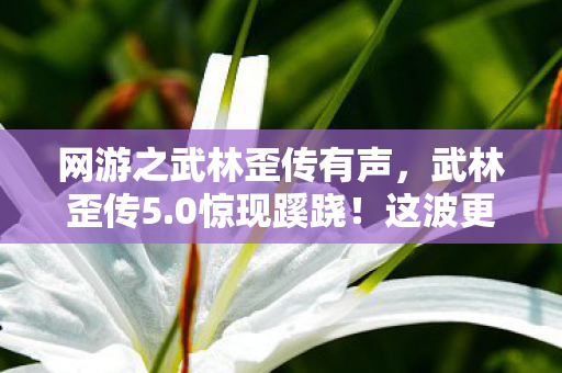 网游之武林歪传有声,武林歪传5.0惊现蹊跷!这波更新是惊喜还是惊吓? 网游之武林歪传有声,武林歪传5.0惊现蹊跷!这波更新是惊喜还是惊吓?