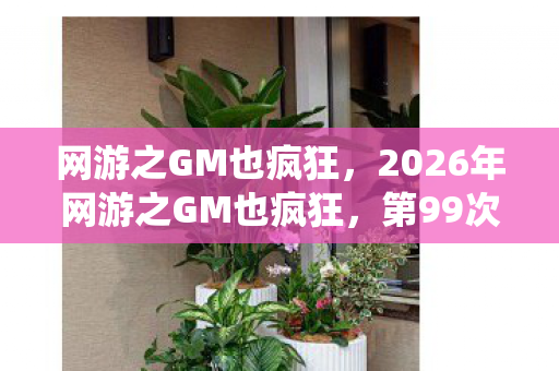 网游之GM也疯狂，2026年网游之GM也疯狂，第99次系统崩溃，隐藏剧情即将引爆？