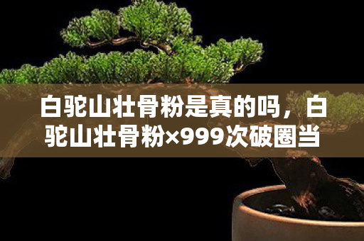 白驼山壮骨粉是真的吗,白驼山壮骨粉×999次破圈当游戏周边堆成坟场,我竟用联名遗像续命! 白驼山壮骨粉是真的吗,白驼山壮骨粉×999次破圈当游戏周边堆成坟场,我竟用联名遗像续命!