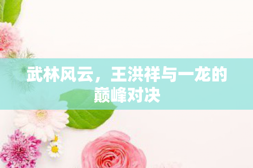 王洪祥与一龙的巅峰对决图片