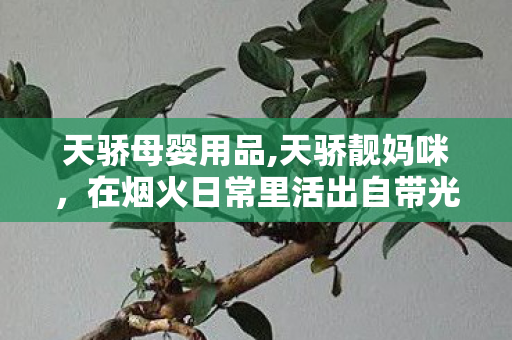 天骄母婴用品,天骄靓妈咪,在烟火日常里活出自带光芒的模样 天骄母婴用品,天骄靓妈咪,在烟火日常里活出自带光芒的模样