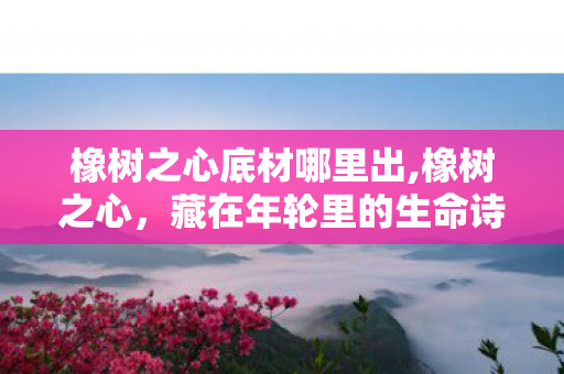 橡树之心底材哪里出,橡树之心,藏在年轮里的生命诗行 橡树之心底材哪里出,橡树之心,藏在年轮里的生命诗行