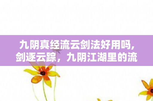 九阴真经流云剑法好用吗,剑逐云踪，九阴江湖里的流云剑影旧梦