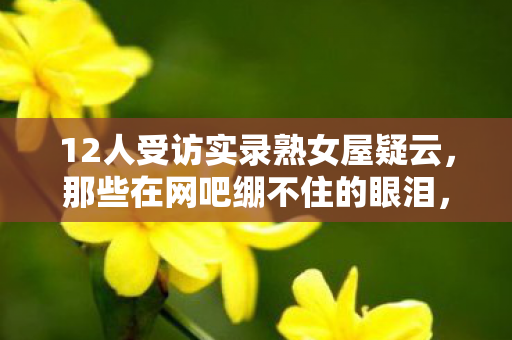 12人受访实录熟女屋疑云,那些在网吧绷不住的眼泪,藏着什么秘密? 12人受访实录熟女屋疑云,那些在网吧绷不住的眼泪,藏着什么秘密?