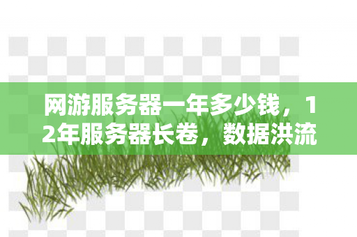 网游服务器一年多少钱，12年服务器长卷，数据洪流中的谜影，为何让百万玩家泪目？