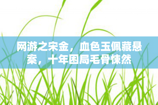 网游之宋金，血色玉佩藏悬案，十年困局毛骨悚然