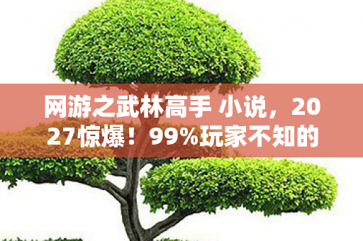 网游之武林高手 小说，2027惊爆！99%玩家不知的武林秘境，竟藏着颠覆认知的真相？