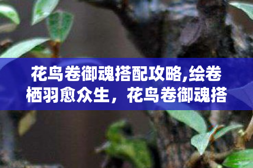花鸟卷御魂搭配攻略,绘卷栖羽愈众生,花鸟卷御魂搭配思路全解析 花鸟卷御魂搭配攻略,绘卷栖羽愈众生,花鸟卷御魂搭配思路全解析