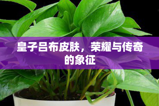 荣耀与传奇的象征图片
