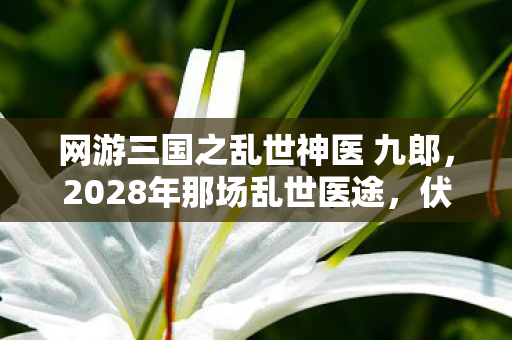 网游三国之乱世神医 九郎，2028年那场乱世医途，伏笔藏了又藏，如今想起鼻子一酸