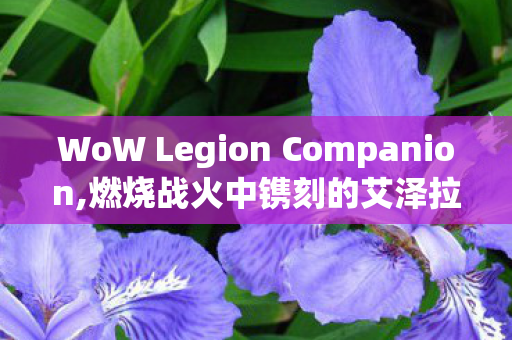 WoW Legion Companion,燃烧战火中镌刻的艾泽拉斯热血记忆 WoW Legion Companion,燃烧战火中镌刻的艾泽拉斯热血记忆