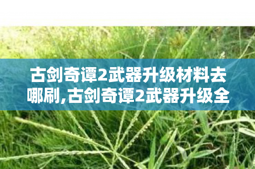 古剑奇谭2武器升级材料去哪刷,古剑奇谭2武器升级全攻略,锻造专属神兵的进阶之路 古剑奇谭2武器升级材料去哪刷,古剑奇谭2武器升级全攻略,锻造专属神兵的进阶之路