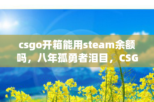 csgo开箱能用steam余额吗，八年孤勇者泪目，CSGO免费开箱谜题竟藏在这漫长时光里？