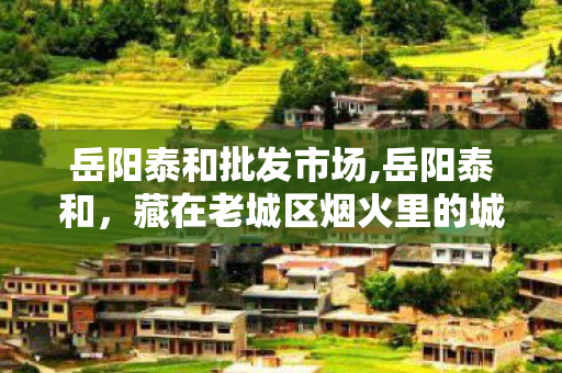 岳阳泰和批发市场,岳阳泰和，藏在老城区烟火里的城市记忆坐标