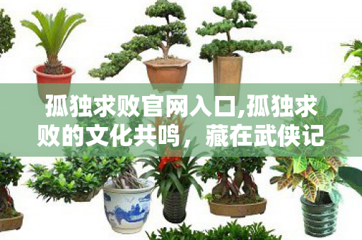 孤独求败官网入口,孤独求败的文化共鸣，藏在武侠记忆里的极致追求