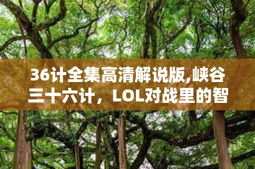 36计全集高清解说版,峡谷三十六计,LOL对战里的智谋上分指南 36计全集高清解说版,峡谷三十六计,LOL对战里的智谋上分指南