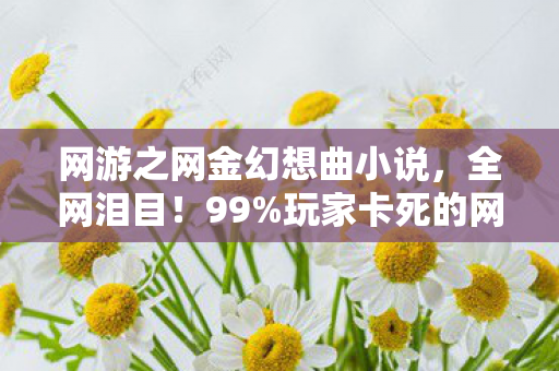 网游之网金幻想曲小说,全网泪目!99%玩家卡死的网金终极关卡,我用3年青春换来1个真相 网游之网金幻想曲小说,全网泪目!99%玩家卡死的网金终极关卡,我用3年青春换来1个真相