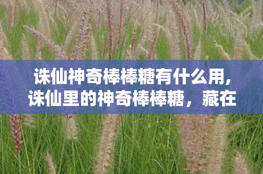 诛仙神奇棒棒糖有什么用,诛仙里的神奇棒棒糖,藏在老玩家背包里的青春甜意 诛仙神奇棒棒糖有什么用,诛仙里的神奇棒棒糖,藏在老玩家背包里的青春甜意