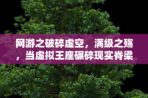 网游之破碎虚空,满级之殇,当虚拟王座碾碎现实脊梁的悖论人生 网游之破碎虚空,满级之殇,当虚拟王座碾碎现实脊梁的悖论人生