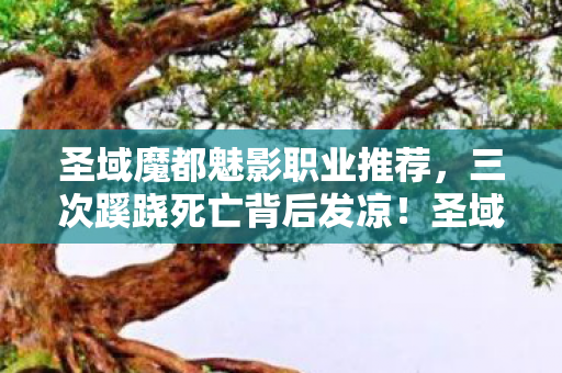 圣域魔都魅影职业推荐,三次蹊跷死亡背后发凉!圣域魔都魅影职业竟藏着惊天秘密? 圣域魔都魅影职业推荐,三次蹊跷死亡背后发凉!圣域魔都魅影职业竟藏着惊天秘密?
