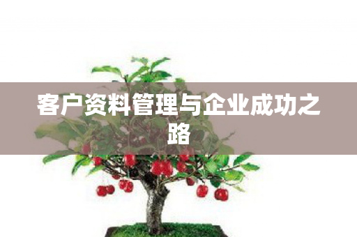 客户资料管理与企业成功之路图片