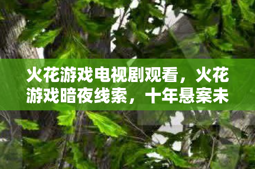 火花游戏电视剧观看,火花游戏暗夜线索,十年悬案未解,毛骨悚然真相待揭 火花游戏电视剧观看,火花游戏暗夜线索,十年悬案未解,毛骨悚然真相待揭