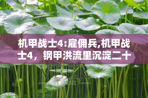 机甲战士4:雇佣兵,机甲战士4,钢甲洪流里沉淀二十余年的机甲浪漫 机甲战士4:雇佣兵,机甲战士4,钢甲洪流里沉淀二十余年的机甲浪漫