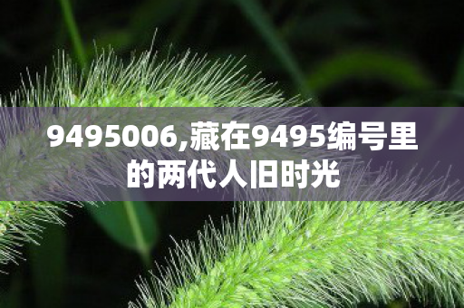 9495006,藏在9495编号里的两代人旧时光