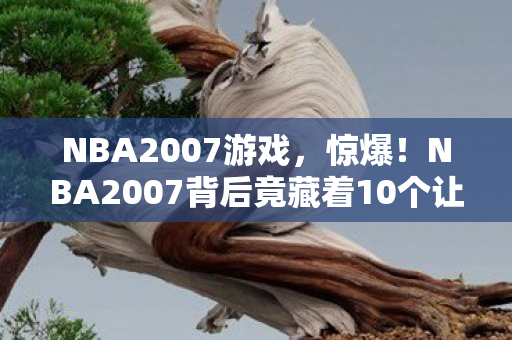 NBA2007游戏,惊爆!NBA2007背后竟藏着10个让玩家泪目的隐藏设计! NBA2007游戏,惊爆!NBA2007背后竟藏着10个让玩家泪目的隐藏设计!