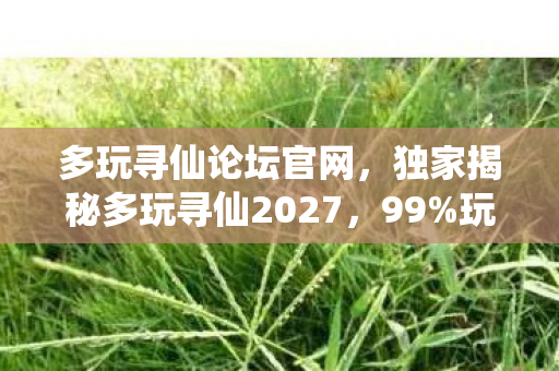 多玩寻仙论坛官网,独家揭秘多玩寻仙2027,99%玩家错过的3大革新体验,你中招了吗? 多玩寻仙论坛官网,独家揭秘多玩寻仙2027,99%玩家错过的3大革新体验,你中招了吗?