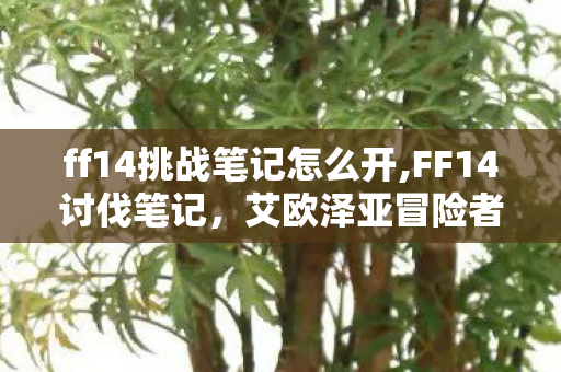 ff14挑战笔记怎么开,FF14讨伐笔记，艾欧泽亚冒险者的专属成长图鉴