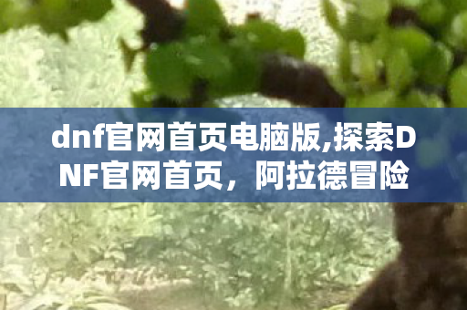 dnf官网首页电脑版,探索DNF官网首页,阿拉德冒险的全新入口指南 dnf官网首页电脑版,探索DNF官网首页,阿拉德冒险的全新入口指南