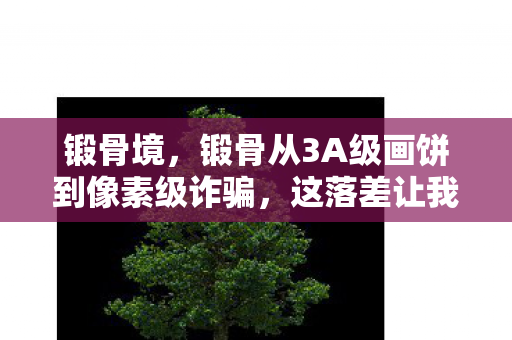 锻骨境,锻骨从3A级画饼到像素级诈骗,这落差让我笑着氪金哭着充值 锻骨境,锻骨从3A级画饼到像素级诈骗,这落差让我笑着氪金哭着充值