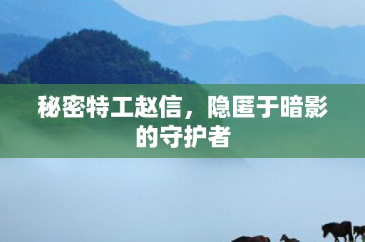 隐匿于暗影的守护者图片
