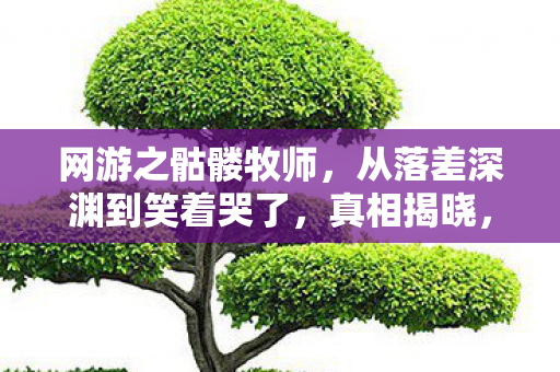 网游之骷髅牧师,从落差深渊到笑着哭了,真相揭晓,我竟是网游的囚徒 网游之骷髅牧师,从落差深渊到笑着哭了,真相揭晓,我竟是网游的囚徒