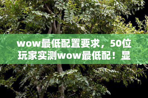 wow最低配置要求,50位玩家实测wow最低配!显卡冒烟真相竟让9成受访者当场绷不住 wow最低配置要求,50位玩家实测wow最低配!显卡冒烟真相竟让9成受访者当场绷不住