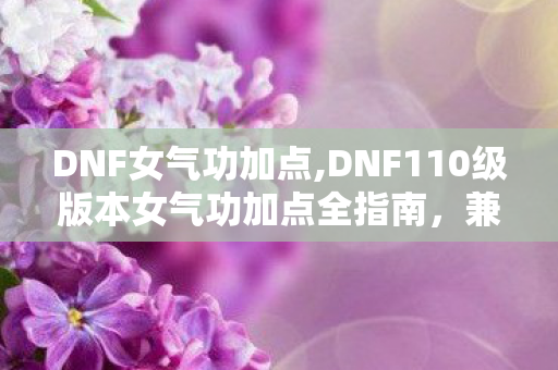 DNF女气功加点,DNF110级版本女气功加点全指南，兼顾搬砖与团本的最优方案