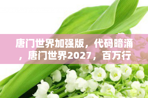唐门世界加强版,代码暗涌,唐门世界2027,百万行指令背后的头皮发麻真相 唐门世界加强版,代码暗涌,唐门世界2027,百万行指令背后的头皮发麻真相