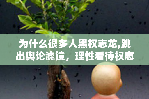 为什么很多人黑权志龙,跳出舆论滤镜，理性看待权志龙相关的公众讨论
