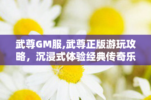 武尊GM服,武尊正版游玩攻略,沉浸式体验经典传奇乐趣 武尊GM服,武尊正版游玩攻略,沉浸式体验经典传奇乐趣