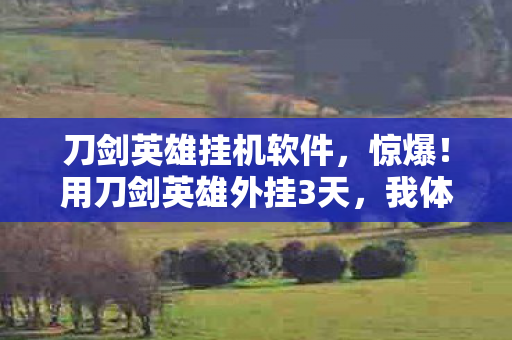 刀剑英雄挂机软件，惊爆！用刀剑英雄外挂3天，我体验到了前所未有的爽与悔！