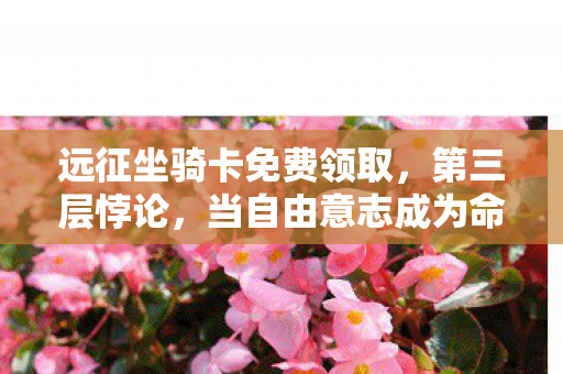 远征坐骑卡免费领取，第三层悖论，当自由意志成为命运牢笼的钥匙