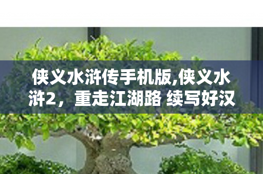 侠义水浒传手机版,侠义水浒2,重走江湖路 续写好汉侠义魂 侠义水浒传手机版,侠义水浒2,重走江湖路 续写好汉侠义魂