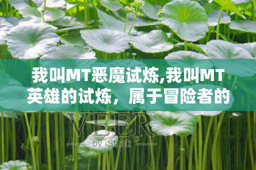 我叫MT恶魔试炼,我叫MT英雄的试炼，属于冒险者的热血成长序章