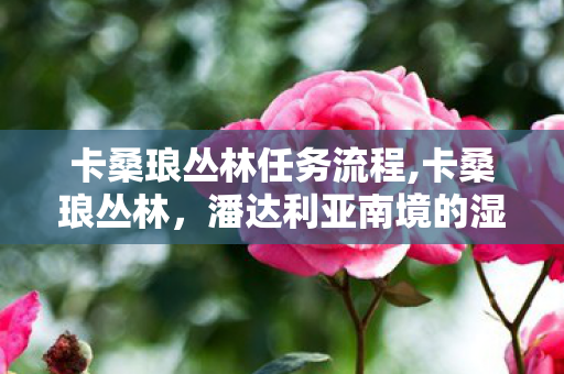 卡桑琅丛林任务流程,卡桑琅丛林，潘达利亚南境的湿绿秘境