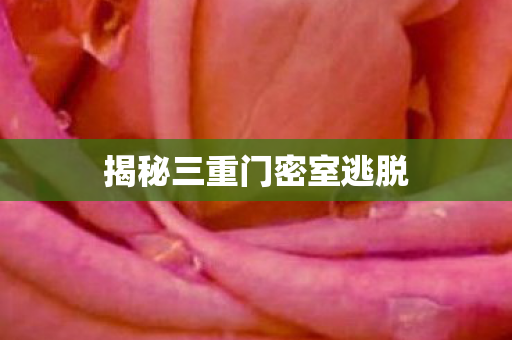 揭秘三重门密室逃脱图片
