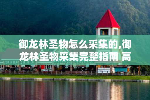 御龙林圣物怎么采集的,御龙林圣物采集完整指南 高效解锁前期稀缺资源 御龙林圣物怎么采集的,御龙林圣物采集完整指南 高效解锁前期稀缺资源