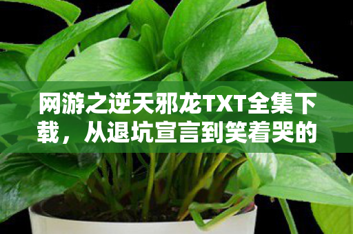 网游之逆天邪龙TXT全集下载,从退坑宣言到笑着哭的真相,落差里藏着谁也逃不掉的瘾 网游之逆天邪龙TXT全集下载,从退坑宣言到笑着哭的真相,落差里藏着谁也逃不掉的瘾