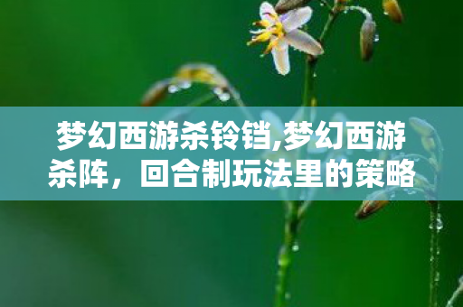 梦幻西游杀铃铛,梦幻西游杀阵,回合制玩法里的策略协作乐趣 梦幻西游杀铃铛,梦幻西游杀阵,回合制玩法里的策略协作乐趣