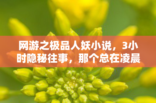 网游之极品人妖小说,3小时隐秘往事,那个总在凌晨哽咽的人妖号 网游之极品人妖小说,3小时隐秘往事,那个总在凌晨哽咽的人妖号